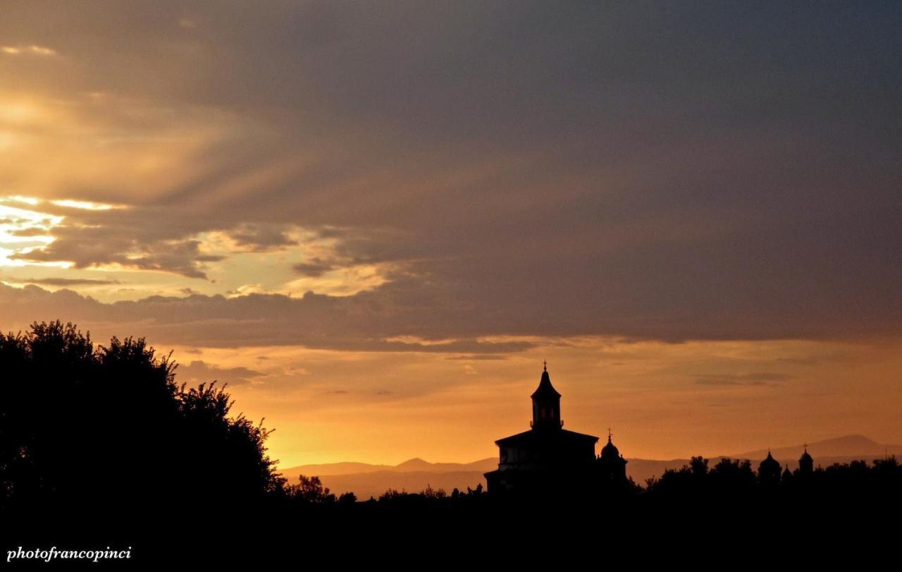 La Terrazza Su Roma Bed & Breakfast Zagarolo Dış mekan fotoğraf