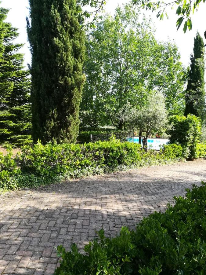 La Terrazza Su Roma Bed & Breakfast Zagarolo Dış mekan fotoğraf