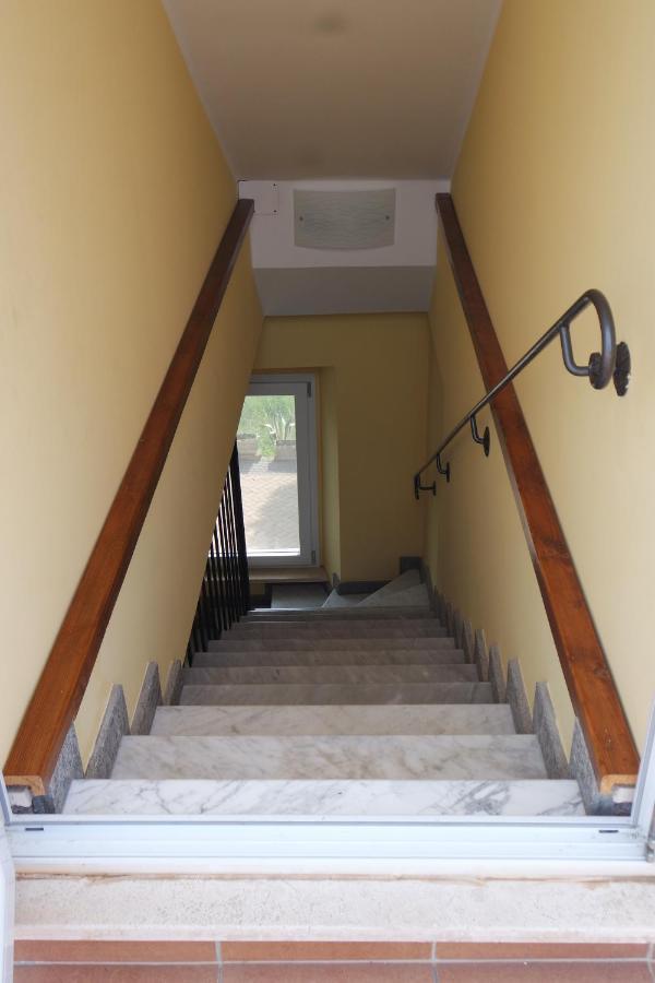 La Terrazza Su Roma Bed & Breakfast Zagarolo Dış mekan fotoğraf