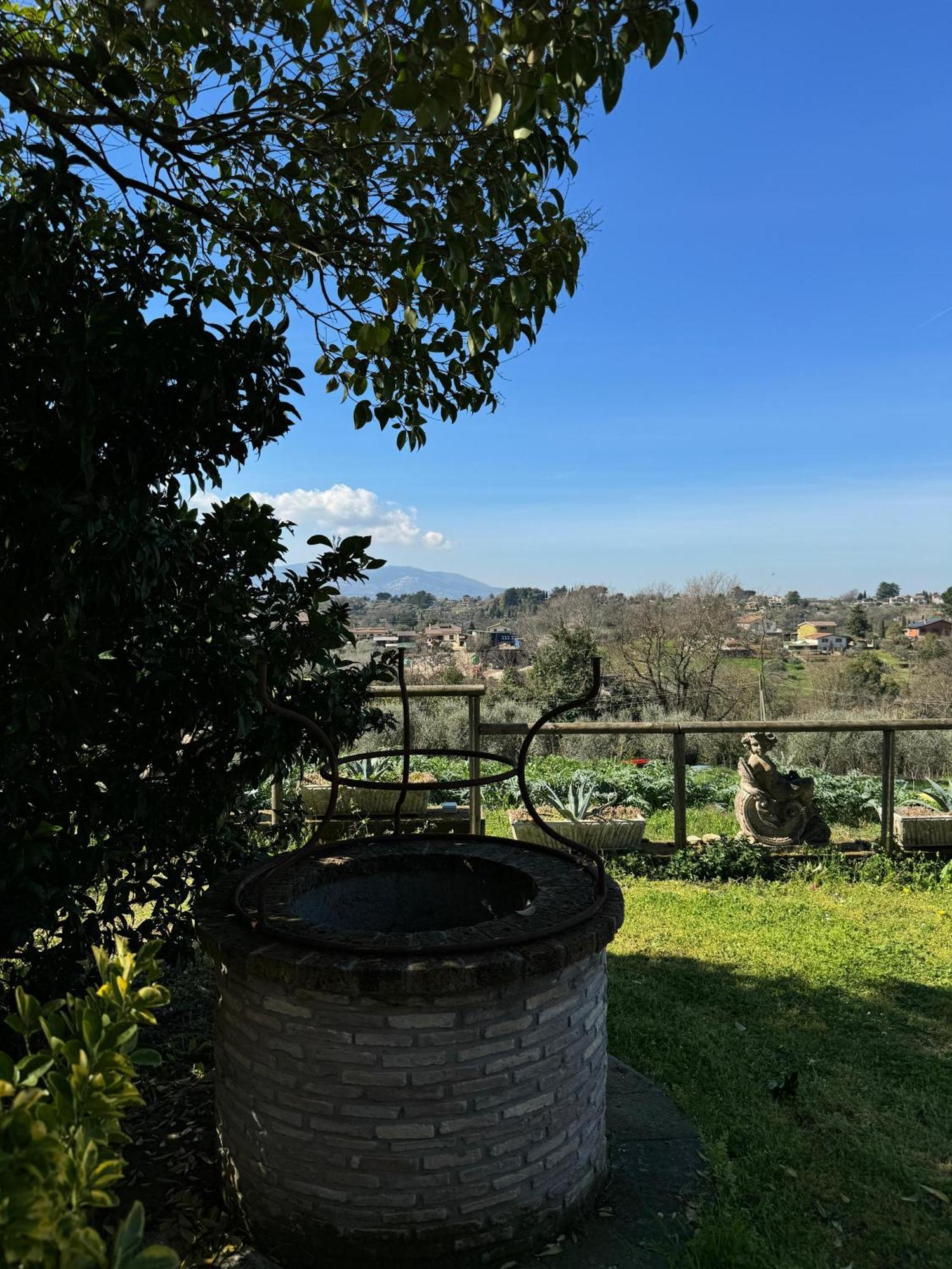 La Terrazza Su Roma Bed & Breakfast Zagarolo Dış mekan fotoğraf