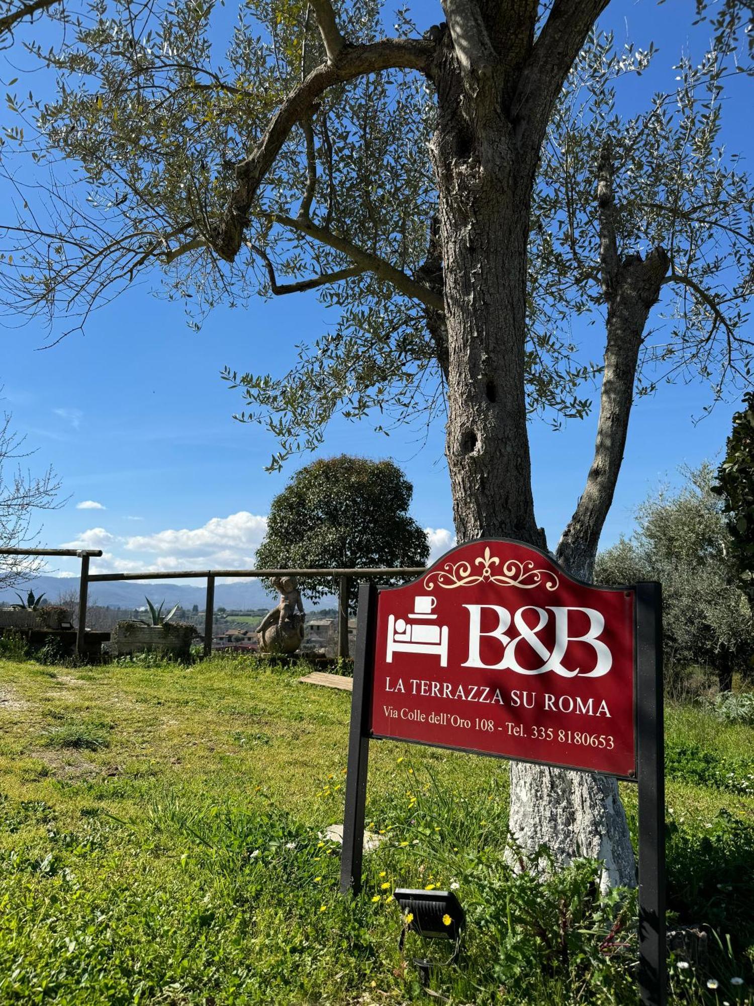La Terrazza Su Roma Bed & Breakfast Zagarolo Dış mekan fotoğraf