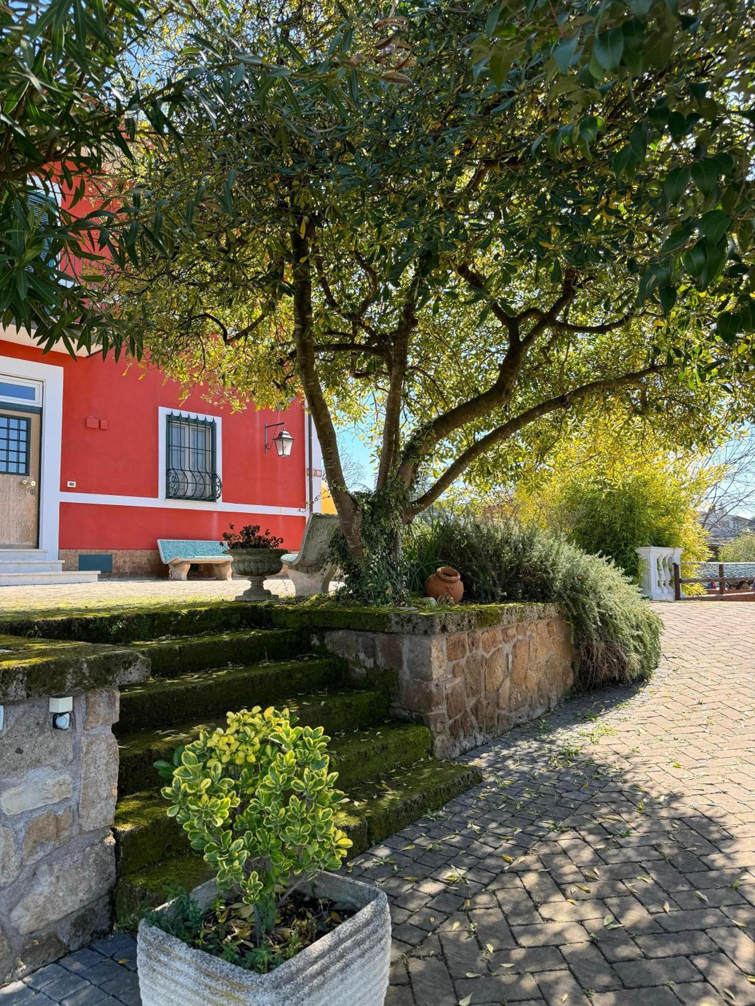 La Terrazza Su Roma Bed & Breakfast Zagarolo Dış mekan fotoğraf